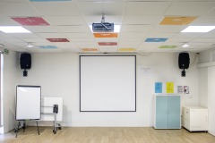 EMPRENDIMIENTO-PROYECTOR-IMG_9552